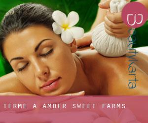 Terme a Amber Sweet Farms