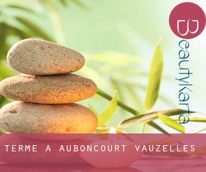 Terme a Auboncourt-Vauzelles