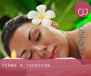 Terme a Thurston