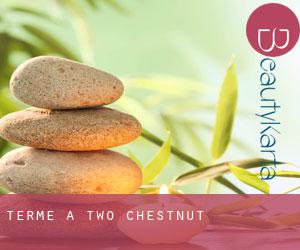 Terme a Two Chestnut