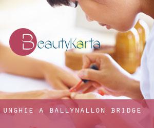 Unghie a Ballynallon Bridge