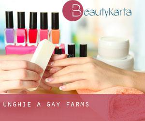 Unghie a Gay Farms