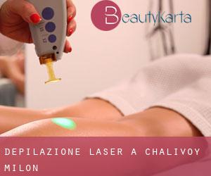 Depilazione laser a Chalivoy-Milon