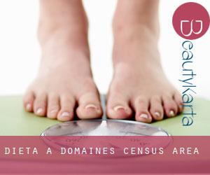 Dieta a Domaines (census area)
