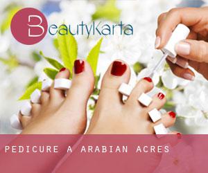 Pedicure a Arabian Acres