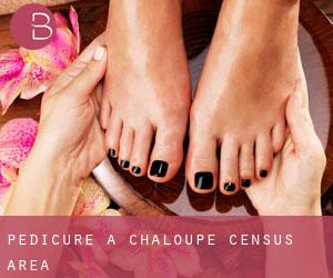 Pedicure a Chaloupe (census area)