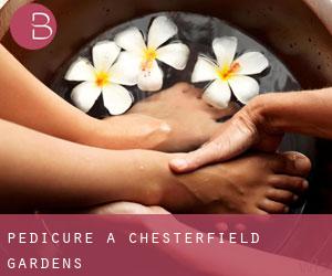 Pedicure a Chesterfield Gardens