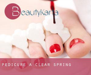 Pedicure a Clear Spring