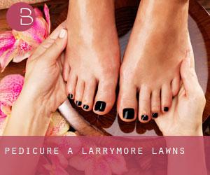Pedicure a Larrymore Lawns