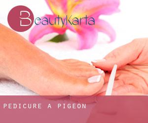 Pedicure a Pigeon
