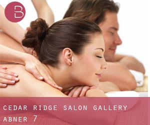 Cedar Ridge Salon Gallery (Abner) #7