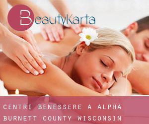 centri benessere a Alpha (Burnett County, Wisconsin)