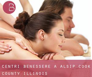 centri benessere a Alsip (Cook County, Illinois)