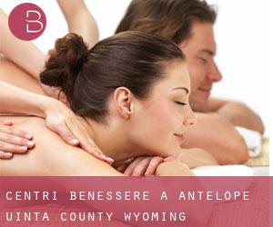 centri benessere a Antelope (Uinta County, Wyoming)