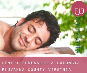 centri benessere a Columbia (Fluvanna County, Virginia)