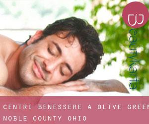 centri benessere a Olive Green (Noble County, Ohio)